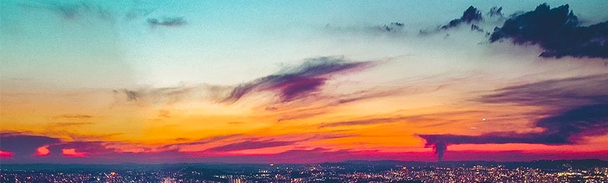 莱芜茶虫网_莱芜品茶